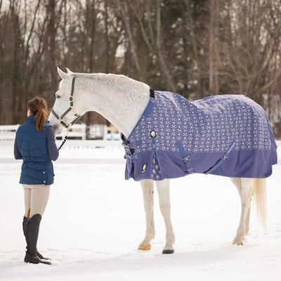 Equinavia Arktis Regular Neck Midweight 200-g Horse Turnout Blanket