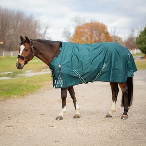 Equinavia Arktis Regular Neck Midweight 200-g Horse Turnout Blanket, Deep Green, 78-in