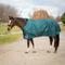Show in main carousel: Equinavia Arktis Regular Neck Midweight 200-g Horse Turnout Blanket, Deep Green, 78-in slide 1 of 9