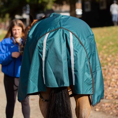 Show full view: Equinavia Arktis Extended Neck Light Weight 100g Horse Turnout Blanket, Deep Green, 72-in slide 5 of 9