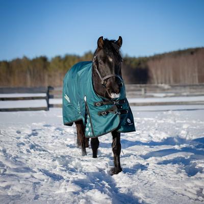 Show full view: Equinavia Arktis Extended Neck Light Weight 100g Horse Turnout Blanket, Deep Green, 72-in slide 4 of 9