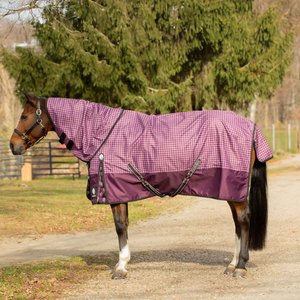 Equinavia Norse Horse Turnout Sheet, Plum Wine/Orchid Haze, 72-in