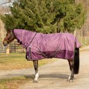Equinavia Norse Midweight 200-g Horse Turnout Blanket, Plum Wine/Orchid Haze, 78-in