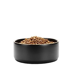 Waggo Edge Ceramic Dog & Cat Bowl, Black, 4-cup
