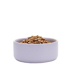 Waggo Edge Ceramic Dog & Cat Bowl, Lavender, 4-cup