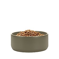 Waggo Edge Ceramic Dog & Cat Bowl, Olive, 9-cup