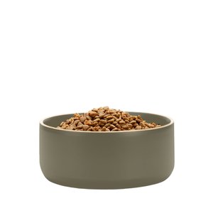 Waggo Edge Ceramic Dog & Cat Bowl, Olive, 9-cup