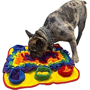 Piggy Poo and Crew Rooting Snuffle Pig Mat, Rainbow, 18 x 20-in
