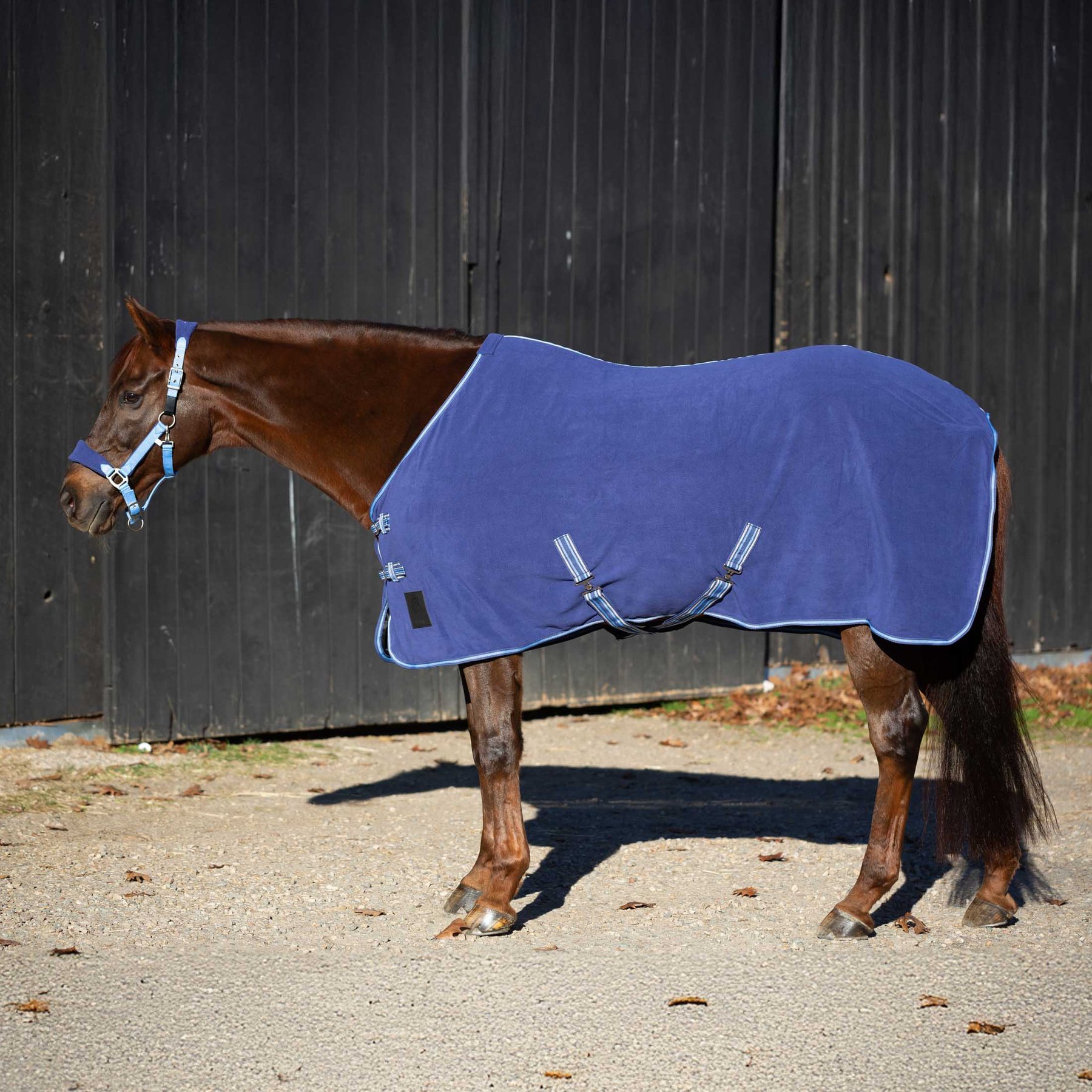 Equinavia Norse Fleece Horse Cooler, Skipper Blue/Clear Sky, 76-in