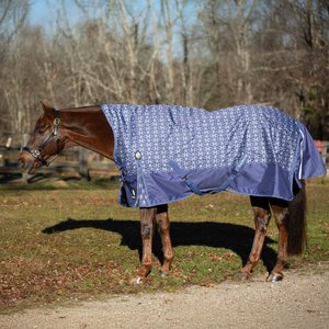 Equinavia Arktis Extended Neck Midweight 200-g Horse Turnout Blanket, Skipper Blue, 78-in