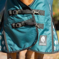 Equinavia Arktis Extended Neck Mid Weight 200g Horse Turnout Blanket, Deep Green, 66-in slide 2 of 9