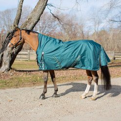 Equinavia Arktis Extended Neck Midweight 200-g Horse Turnout Blanket, Deep Green, 84-in