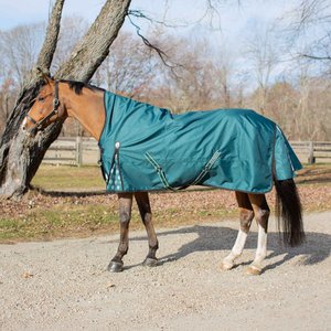 Equinavia Arktis Extended Neck Light Weight 100g Horse Turnout Blanket, Deep Green, 72-in