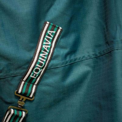 Show full view: Equinavia Arktis Regular Neck Midweight 200-g Horse Turnout Blanket, Deep Green, 78-in slide 8 of 9