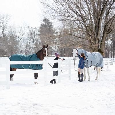 Show full view: Equinavia Arktis Regular Neck Midweight 200-g Horse Turnout Blanket, Deep Green, 78-in slide 5 of 9
