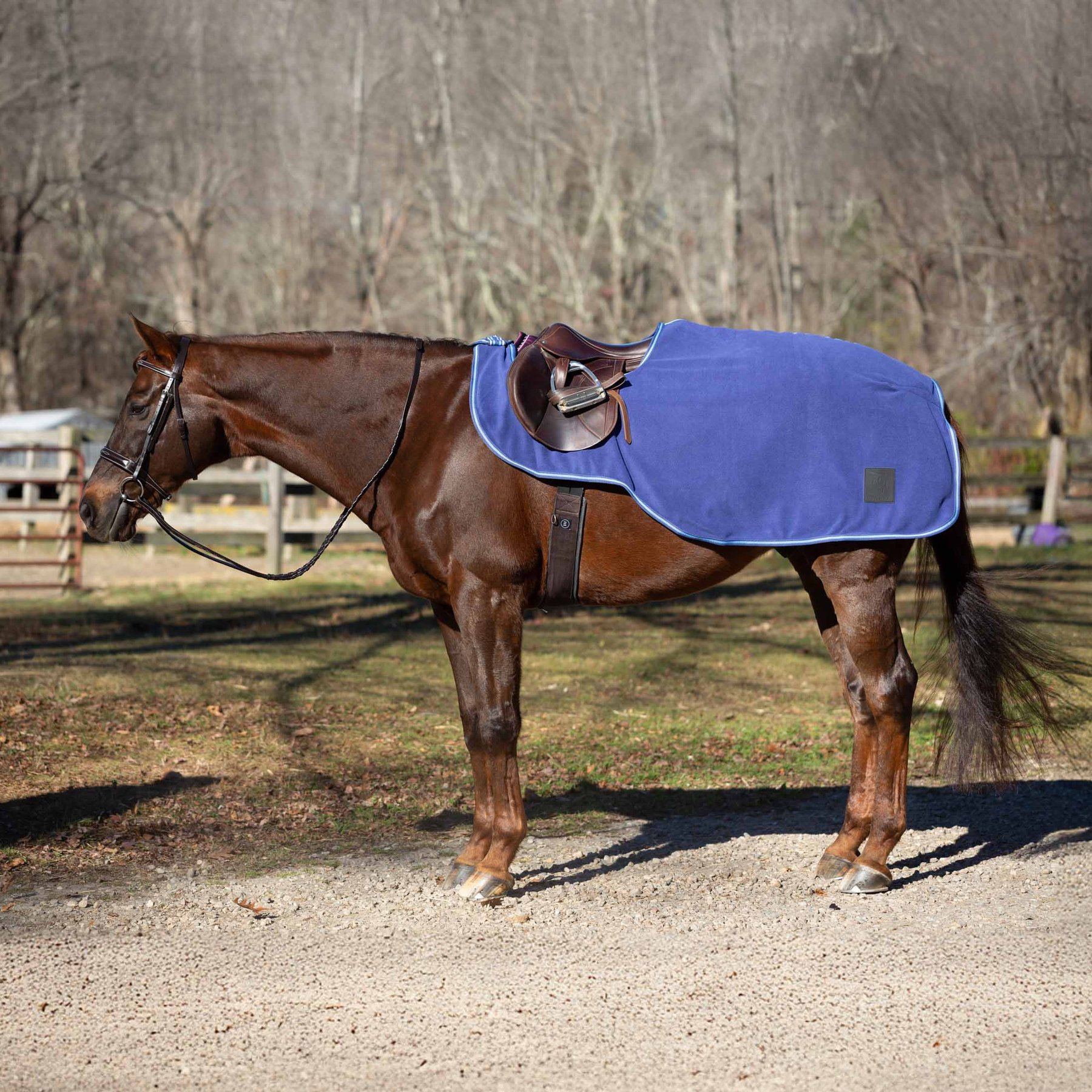Equinavia Norse Horse Fleece Quarter Sheet, Skipper Blue/Clear Sky, Medium