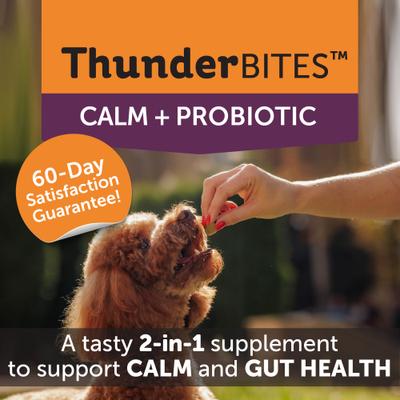 Show full view: ThunderBites Calm+ Probiotic Chicken Flavored Chew Calming Supplement for Dogs, 90 count slide 3 of 11