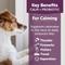 Show in main carousel: ThunderBites Calm+ Probiotic Chicken Flavored Chew Calming Supplement for Dogs, 90 count slide 5 of 11