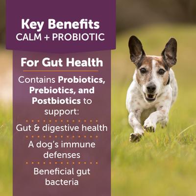 Show full view: ThunderBites Calm+ Probiotic Chicken Flavored Chew Calming Supplement for Dogs, 90 count slide 4 of 11