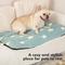 Show in main carousel: Mora Pets Cozy Star Print Non-Slip Dog & Cat Pad, Blue, 22-in slide 8 of 11
