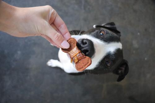 Show full view: Gaines Family Farmstead Chicken Wrapped Sweet Potato Dog Bones, 8-oz bag slide 6 of 8