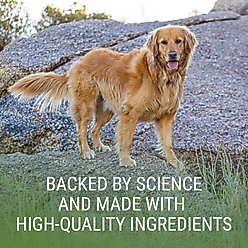 Nutramax Laboratories Denosyl Liver & Brain Health Supplement Stabilized Tablets for Large Dogs, 30 count slide 2 of 8
