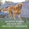 Show in main carousel: Nutramax Laboratories Denosyl Liver & Brain Health Supplement Stabilized Tablets for Large Dogs, 30 count slide 6 of 11