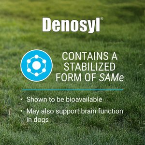 Nutramax Laboratories Denosyl Liver & Brain Health Supplement Stabilized Tablets for Large Dogs, 30 count