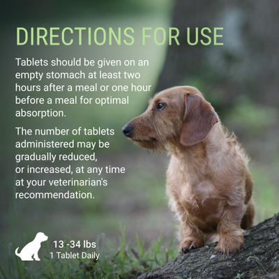 Show full view: Nutramax Laboratories Denosyl Liver & Brain Health Supplement Stabilized Tablets for Medium Dogs, 30 count slide 8 of 13