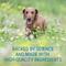 Show in main carousel: Nutramax Laboratories Denosyl Liver & Brain Health Supplement Stabilized Tablets for Medium Dogs, 30 count slide 6 of 13