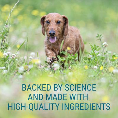 Show full view: Nutramax Laboratories Denosyl Liver & Brain Health Supplement Stabilized Tablets for Medium Dogs, 30 count slide 6 of 13