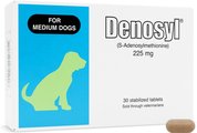 Nutramax Laboratories Denosyl Liver & Brain Health Supplement Stabilized Tablets for Medium Dogs, 30 cou...
