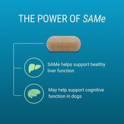 Show full view: Nutramax Laboratories Denosyl Liver & Brain Health Supplement Stabilized Tablets for Medium Dogs, 30 count slide 5 of 13