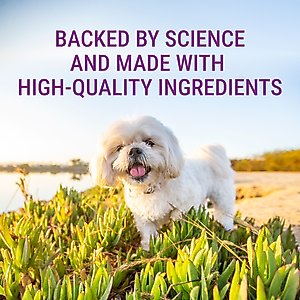 Nutramax Laboratories Denosyl Liver Health Supplement Stabilized Tablets for Small Dogs & Cats, 30 count