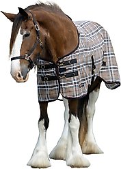 Kensington Protective Products UV Protective Horse Fly Sheet, 93-in, Black