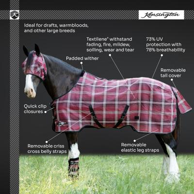 Show full view: Kensington Protective Products UV Protective Horse Fly Sheet, 93-in, Black slide 5 of 9