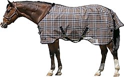 Kensington Protective Products UV Protective Horse Fly Sheet, 84-in, Black