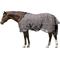 Show in main carousel: Kensington Protective Products UV Protective Horse Fly Sheet, 78-in, Black slide 1 of 9