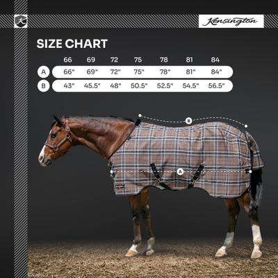 Show full view: Kensington Protective Products UV Protective Horse Fly Sheet, 75-in, Kentucky Blue slide 3 of 9
