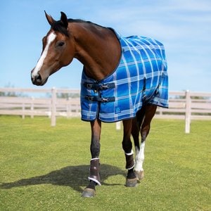 Kensington Protective Products UV Protective Horse Fly Sheet, 75-in, Kentucky Blue