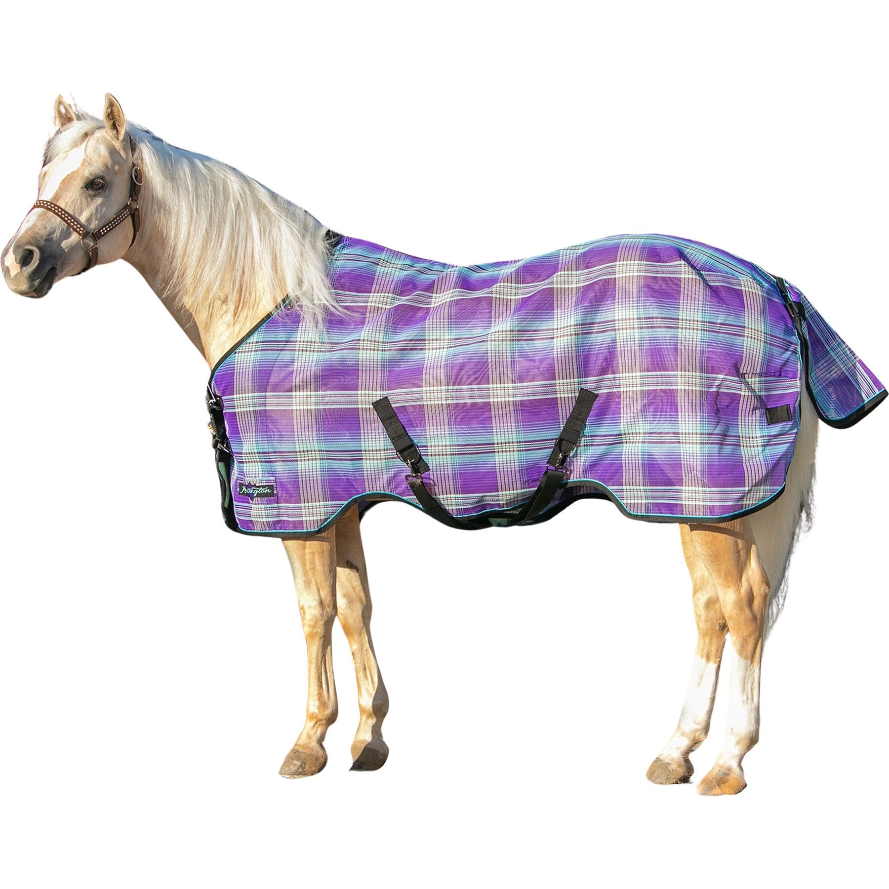Kensington Protective Products UV Protective Horse Fly Sheet, 81-in, Lavender Mint