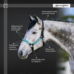 Kensington Protective Products Premium Reflective Nylon Horse Halter, Medium, Atlantis slide 2 of 7