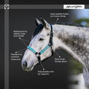 Kensington Protective Products Premium Reflective Nylon Horse Halter, Average, Kentucky Blue