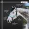 Show in main carousel: Kensington Protective Products Premium Reflective Nylon Horse Halter, Small, Imperial Jade slide 4 of 8