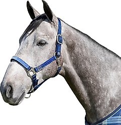 Kensington Protective Products Premium Reflective Nylon Horse Halter, Medium, Kentucky Blue