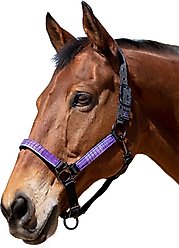 Kensington Protective Products Premium Reflective Nylon Horse Halter, Medium, Lavender Mint