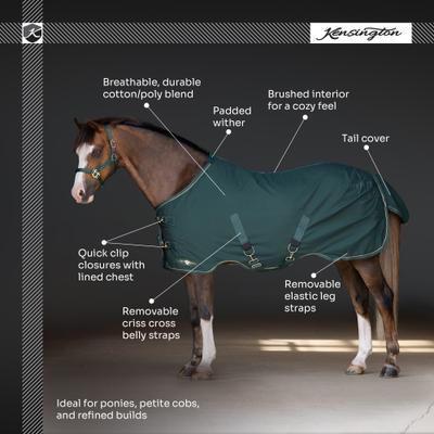 Show full view: Kensington Protective Products Poly Cotton Stable Mini Horse Sheet, 50-in, Navy slide 4 of 7
