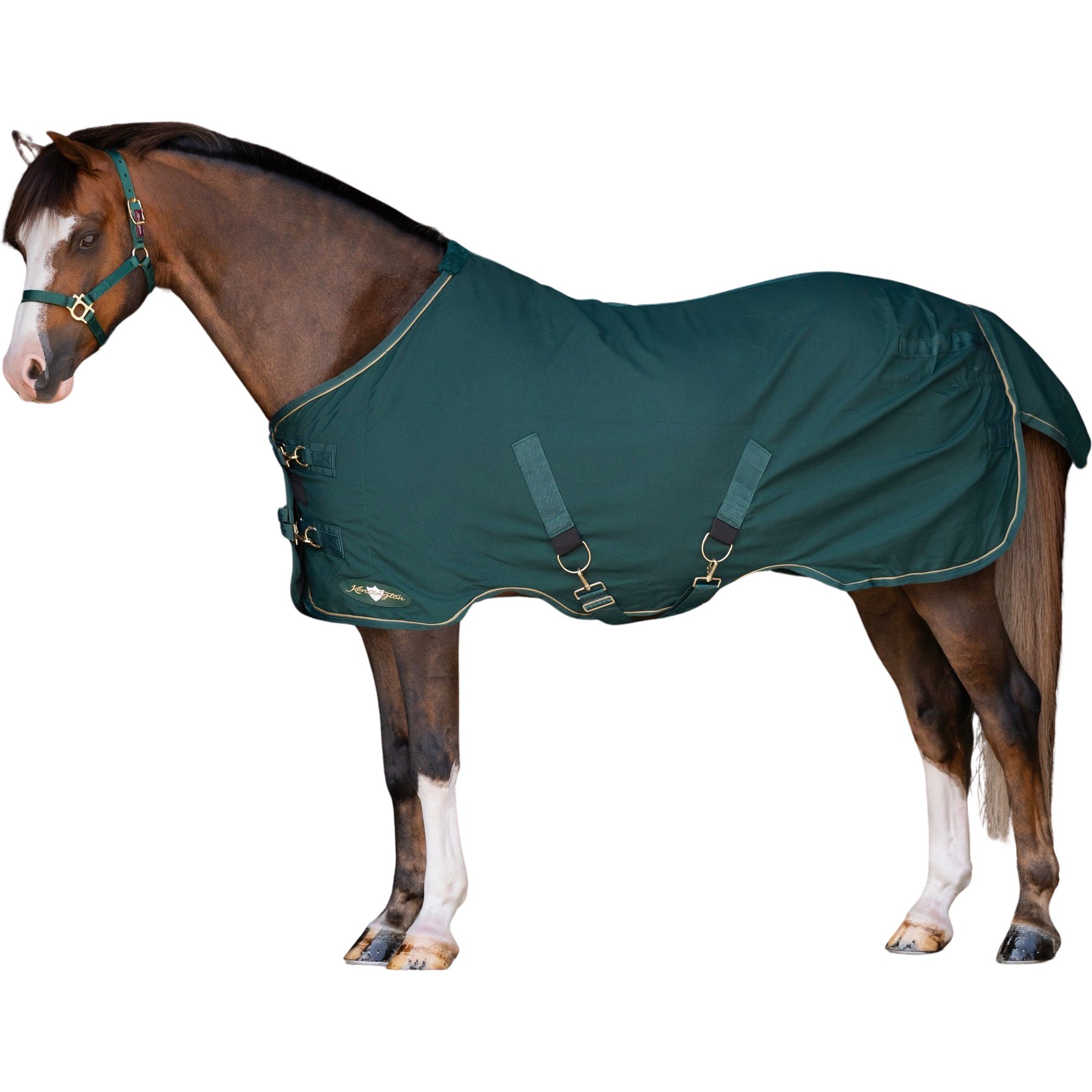 Kensington Protective Products Poly Cotton Horse Stable Sheet, Hunter, 66-in