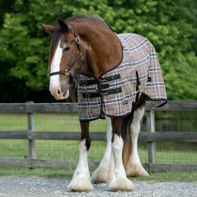 Show full view: Kensington Protective Products UV Protective Horse Fly Sheet, 93-in, Black slide 3 of 9