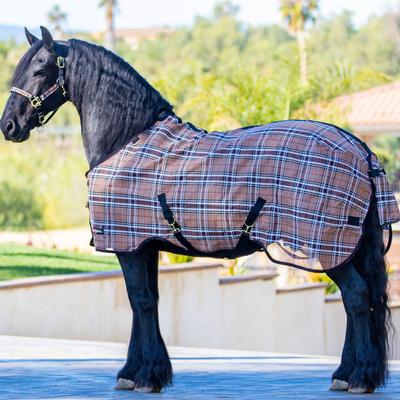 Show full view: Kensington Protective Products UV Protective Horse Fly Sheet, 93-in, Black slide 4 of 9